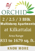 orchid